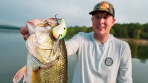 How to Fish Deep Diving Crankbaits for Summer Bass