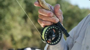 How to Fight Trout on a Fly Rod
