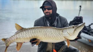 Record Tiger Muskie Caught on Custom Swimbait