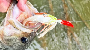 Berkley Slobber Knocker Review