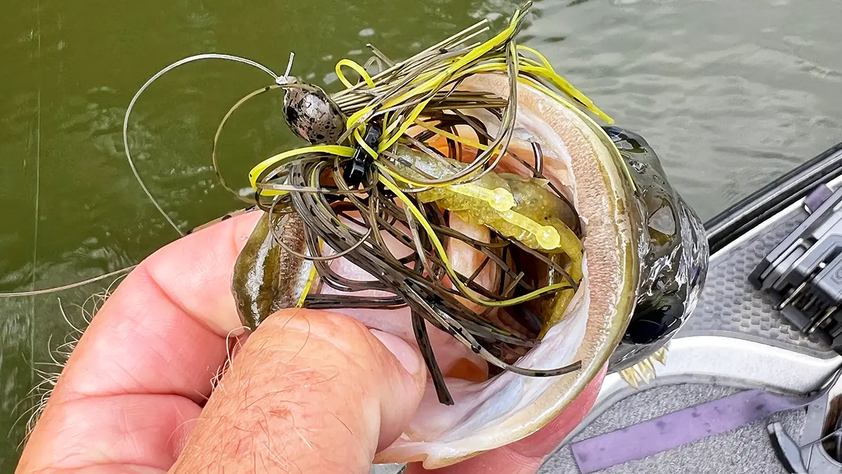 the V&M Skipping jig inside of a bass' mouth