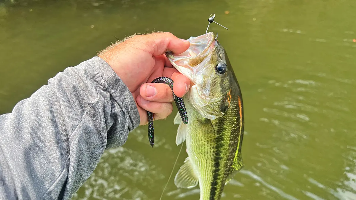 angler holding up a bass with a WOO Tungsten Wacky Jig in its mouth