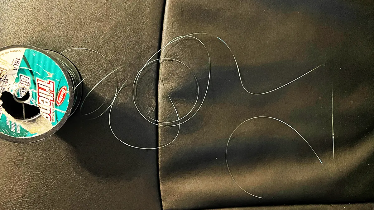 line laying on a leather seat to show line memory