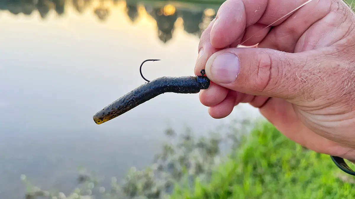 close up of a ned rig