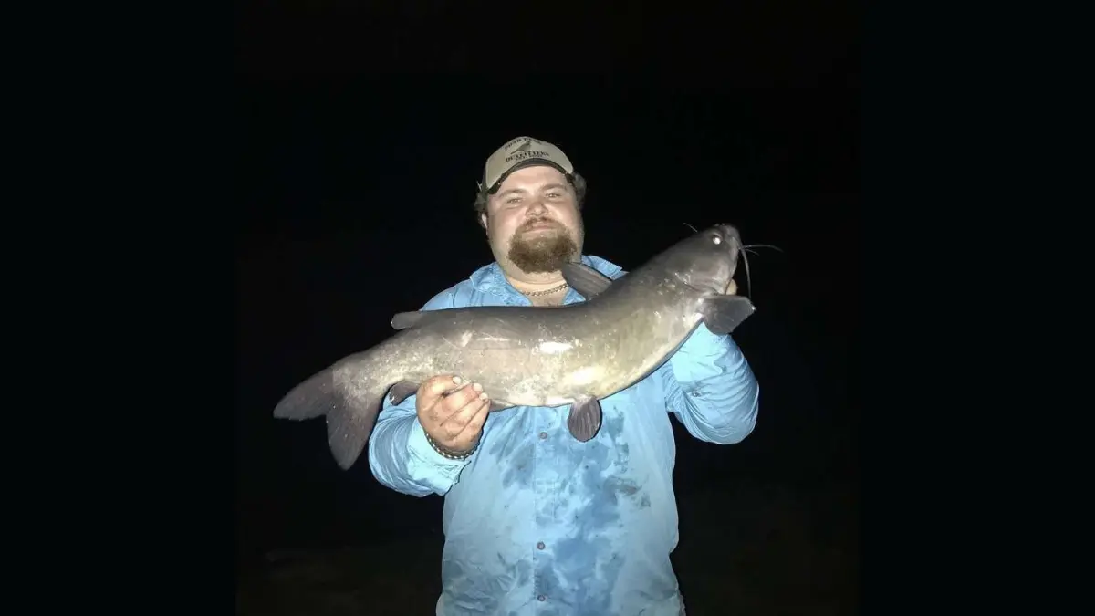 Man wearing hat and denim jacket standing in the dark holding a very large channel catfish 