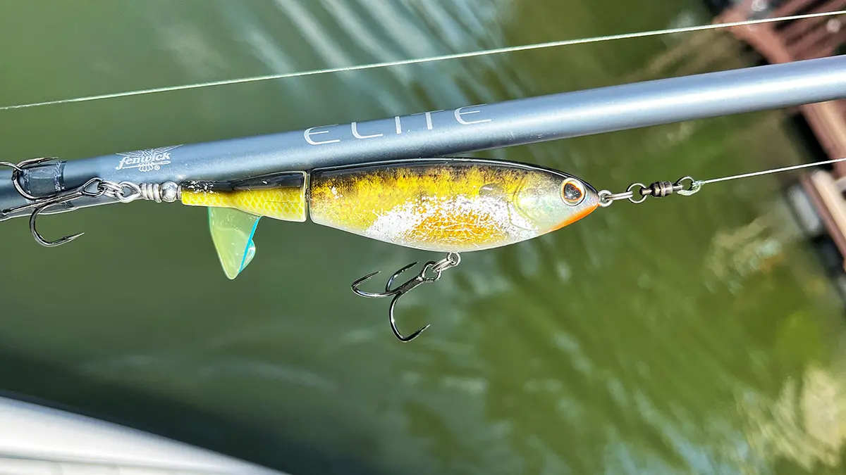 a fenwick elite rod with a berkley choppo attached