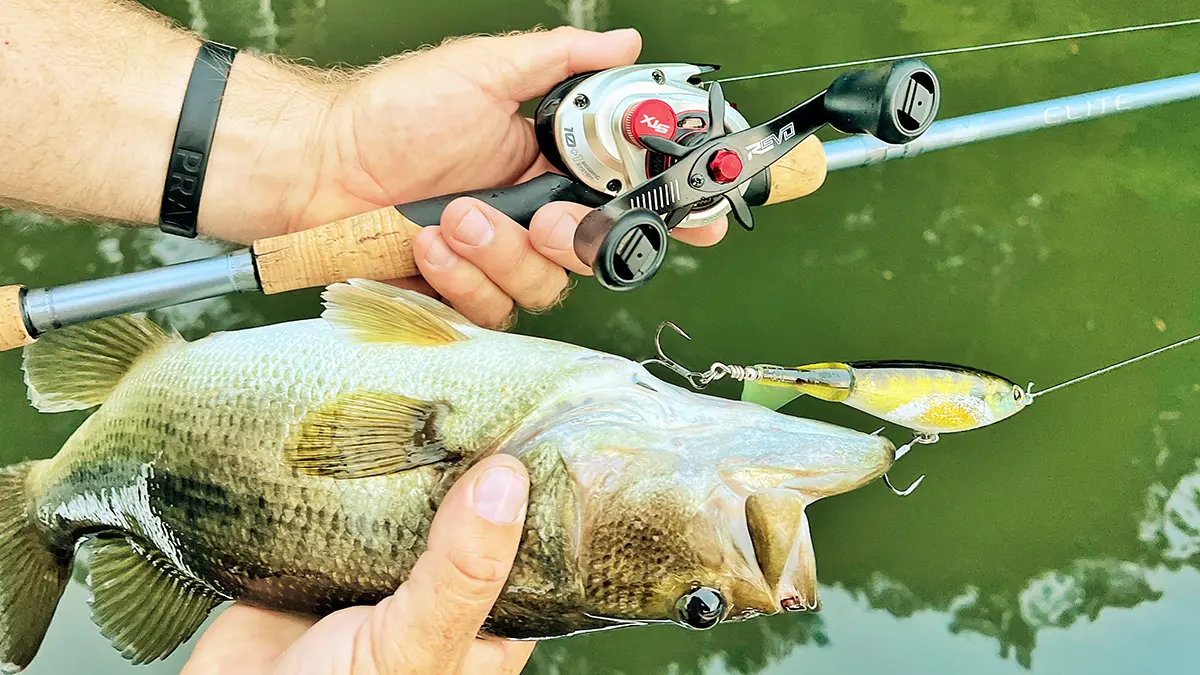 a fenwick rod with an abu garcia revo reel that caught a bass with a berkley choppo