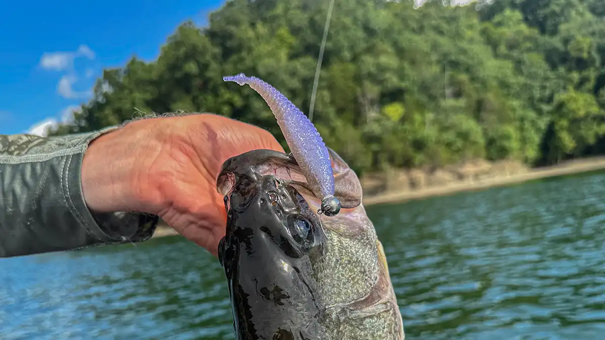 Rapala Crush City Freeloader Review