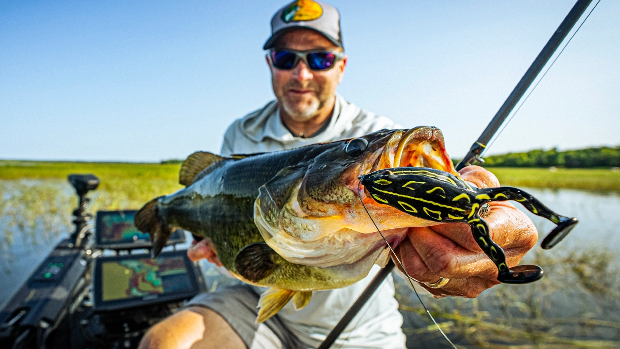 frog-fishing-bass