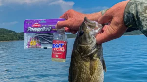 Why You Should Use Scented Lures