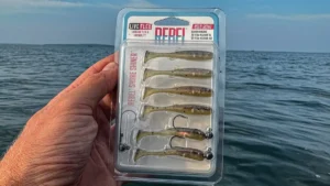 Rebel Liveflex Shore Shiner Review