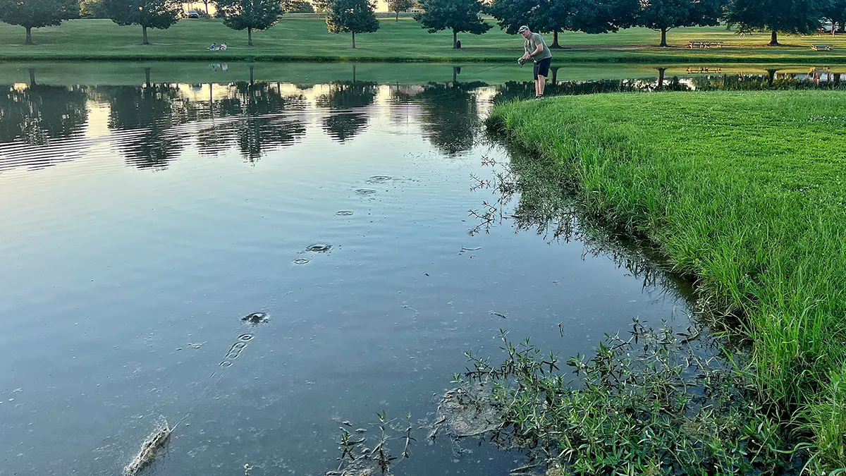 angler skipping a bait across the water