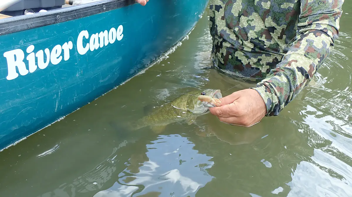 smallmouth bass and canoe