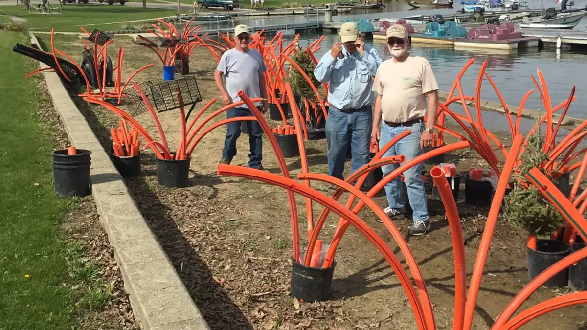 volunteers with fish habitat