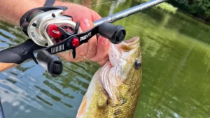 Abu Garcia Revo STX LP Casting Reel Review