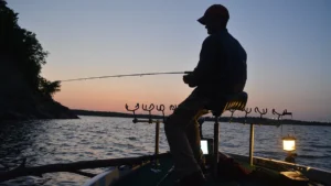 Crappie Under The Lights