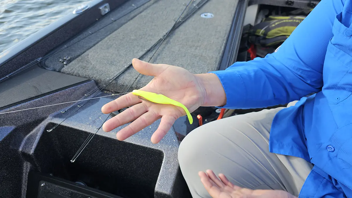 close up of Keith Combs holding the Strike KIng Caffeine Shad in his hand