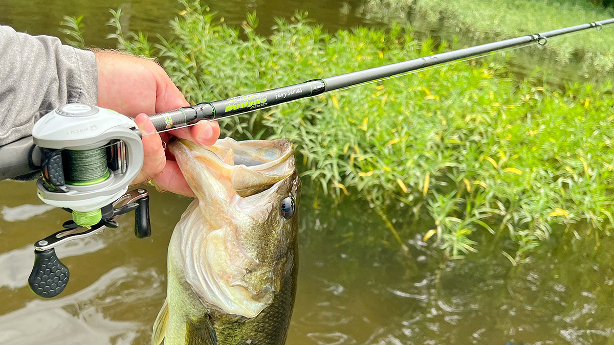 bass in stained water