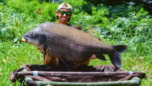 71-Pound Buffalo Smashes Multiple Records