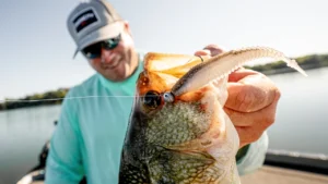 How to Catch Suspended Bass on Jig and Minnow Plastics