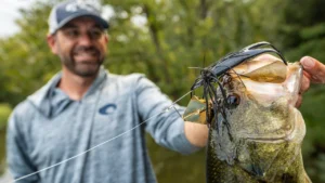 [VIDEO] Fall Transition Topwater Bass | Buzzbait and Plopper Action