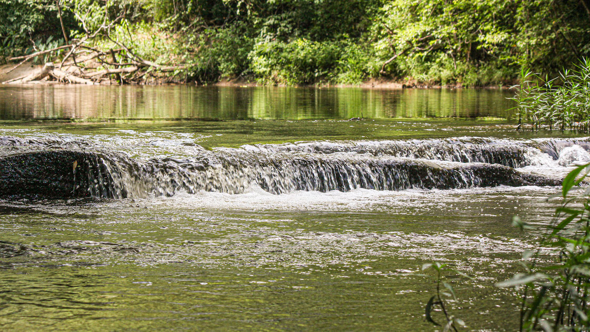 low head dam