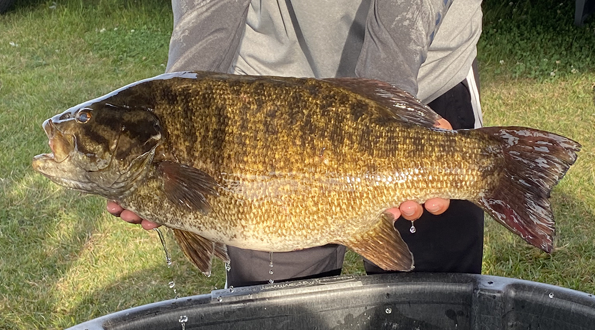 potential New York State record smallmouth bass