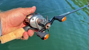 Daiwa CA 80 Review