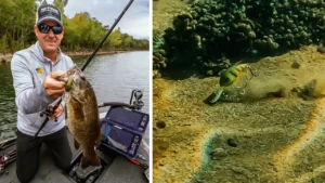 [VIDEO] Crankbait Tips for Fall Bass With Kevin VanDam