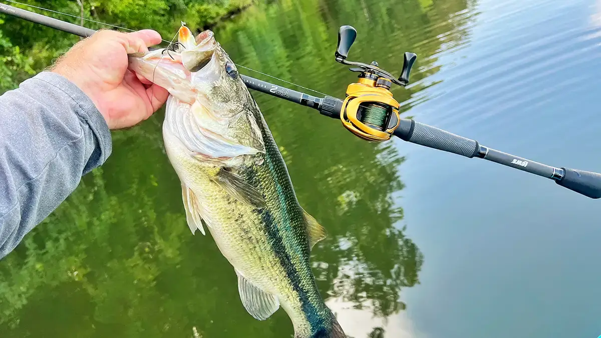 Lew's TP2 rod with Lew's reel, bass held over water