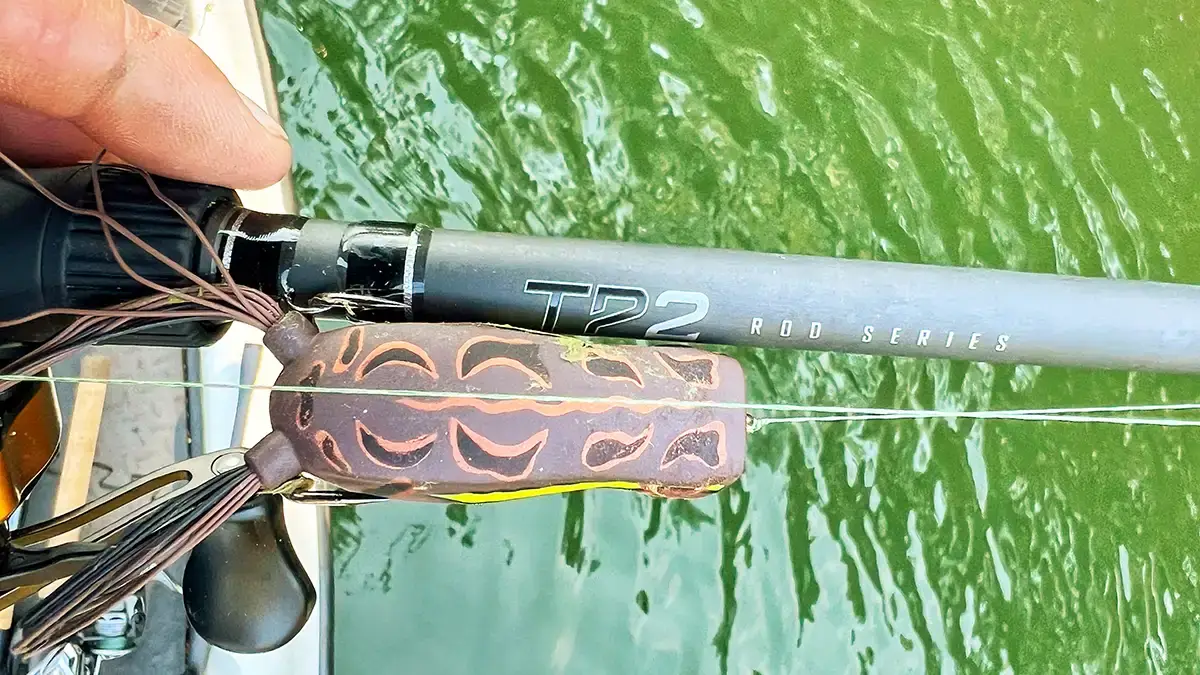 Lew's TP2 rod with frog lure (1)