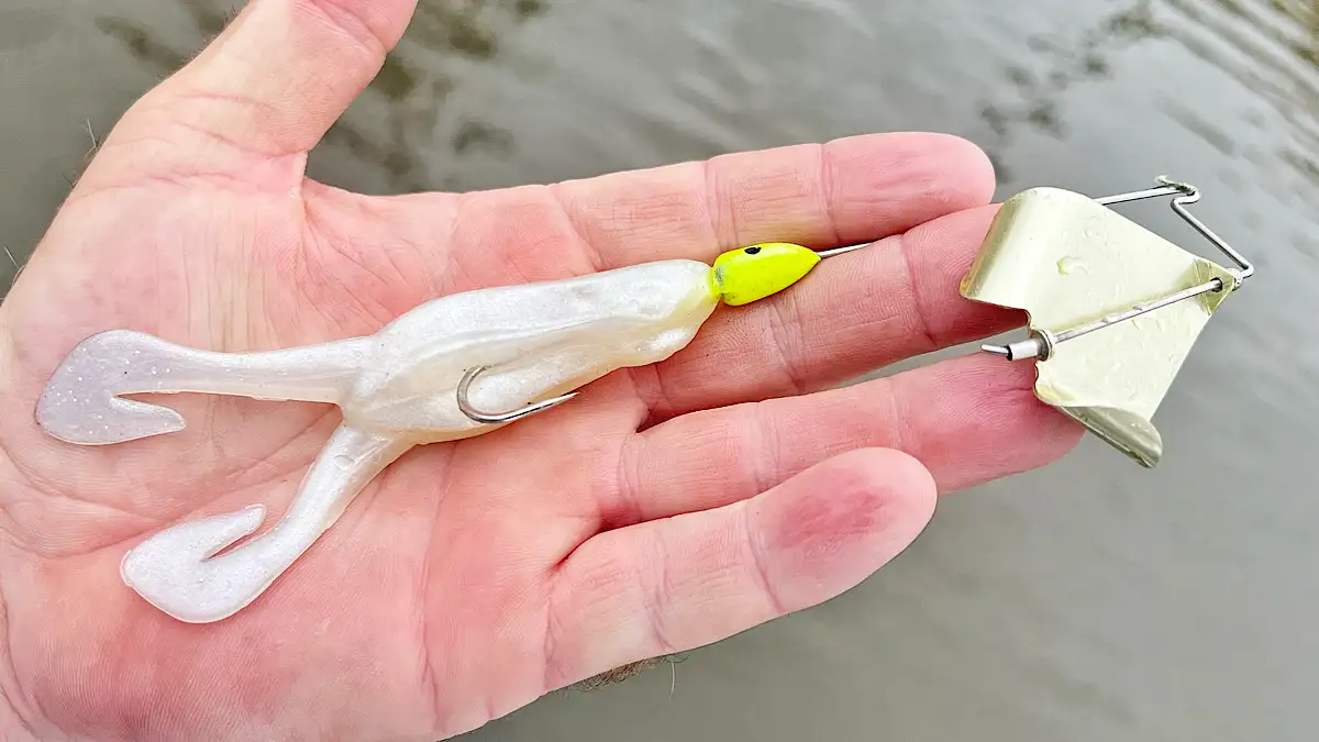 topwater in palm of hand