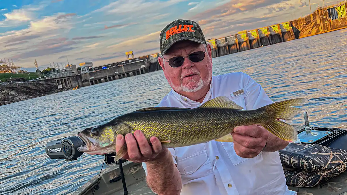 walleye caught near dam