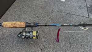 Dobyns Champion XP Spinning Rod Review