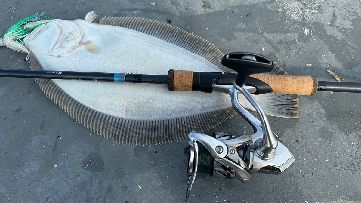 fluke with spinning reel