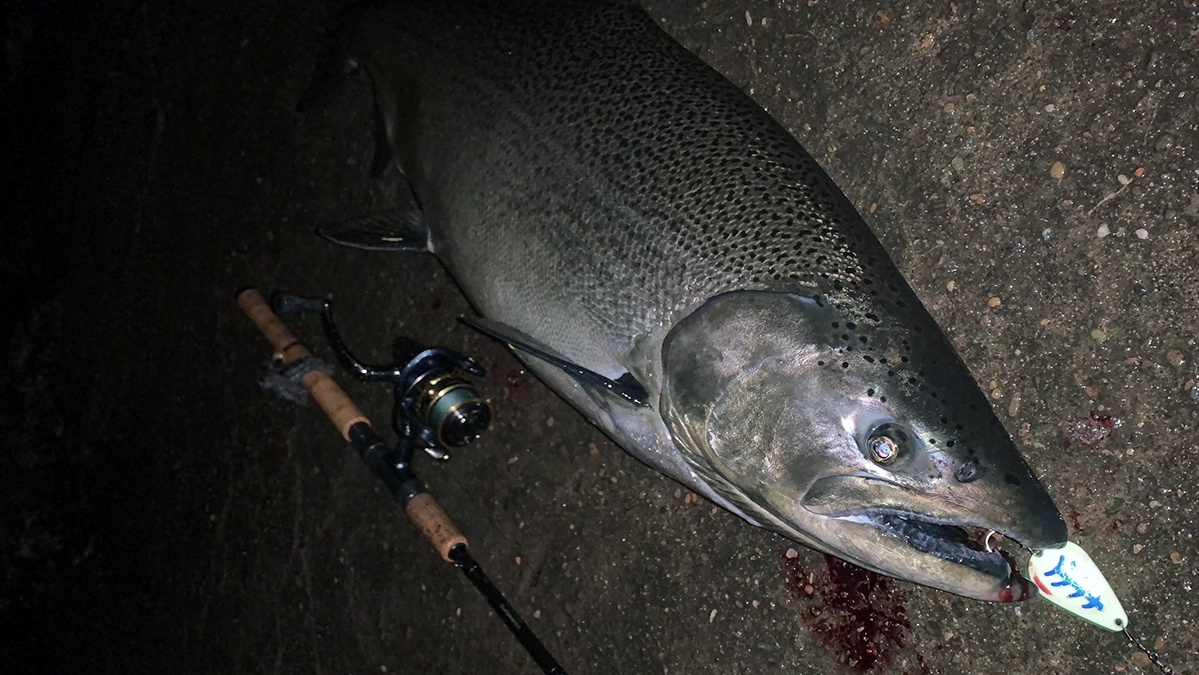 angler with king salmon