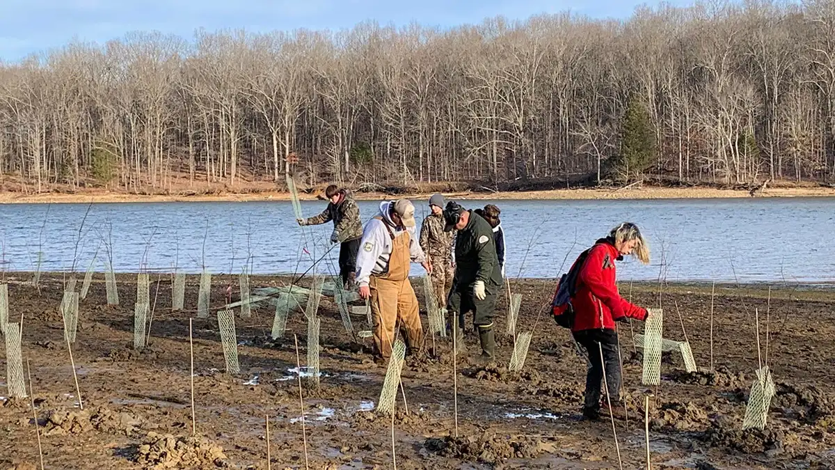 Planting habitat on Ky Lake