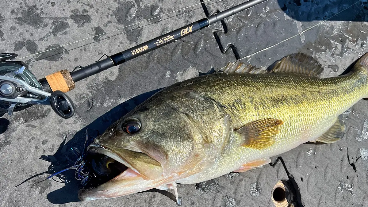 largemouth bass and G Loomis GLX BJR