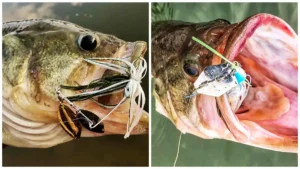 two photos of bass with lures in their mouths