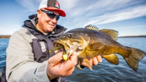 [VIDEO] Fall Ned Rig Tactics for Deep Water Smallmouth Bass