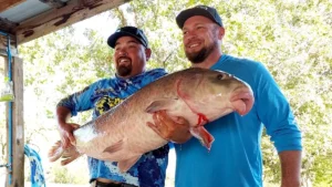 55 Pound Record Fish Caught on 5 Pound Line