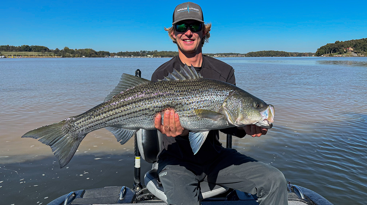 striper caught on thermocline