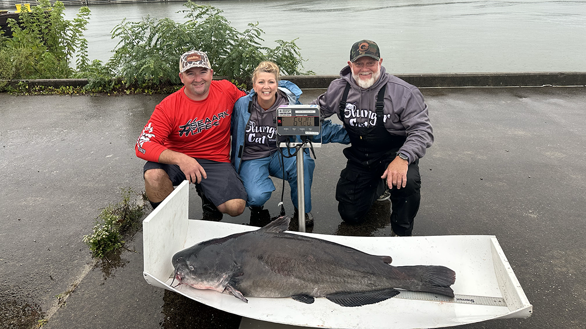 weight of record west virginia blue catfish