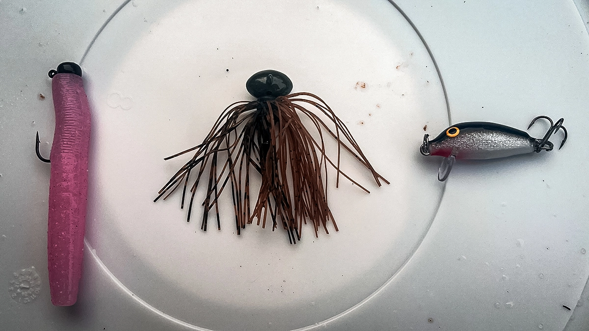 artificial trout lures