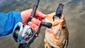 Fluorocarbon vs Braid: Pros and Cons, and When To Use Them