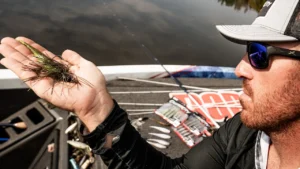 [VIDEO] Wheeler’s ChatterBait and Trailer System for Patterning Bass