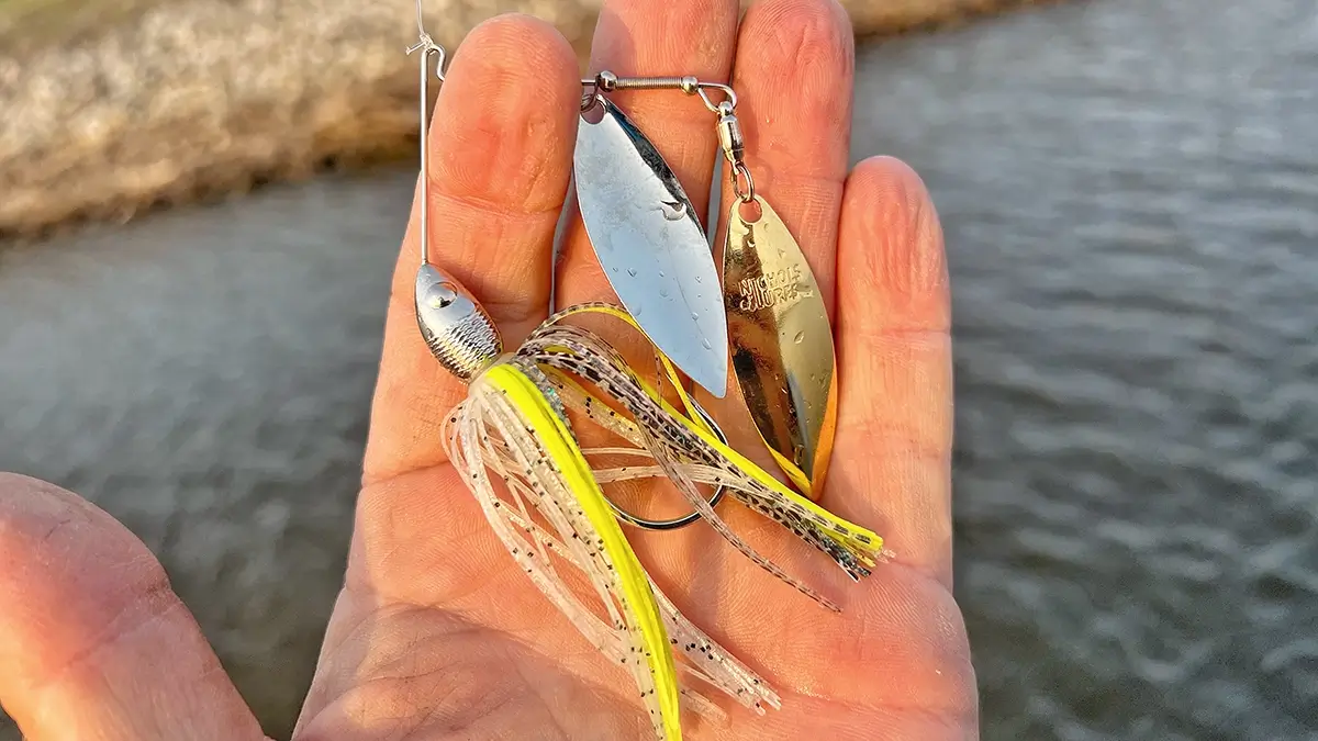 close up of bass caught on spinnnerbait