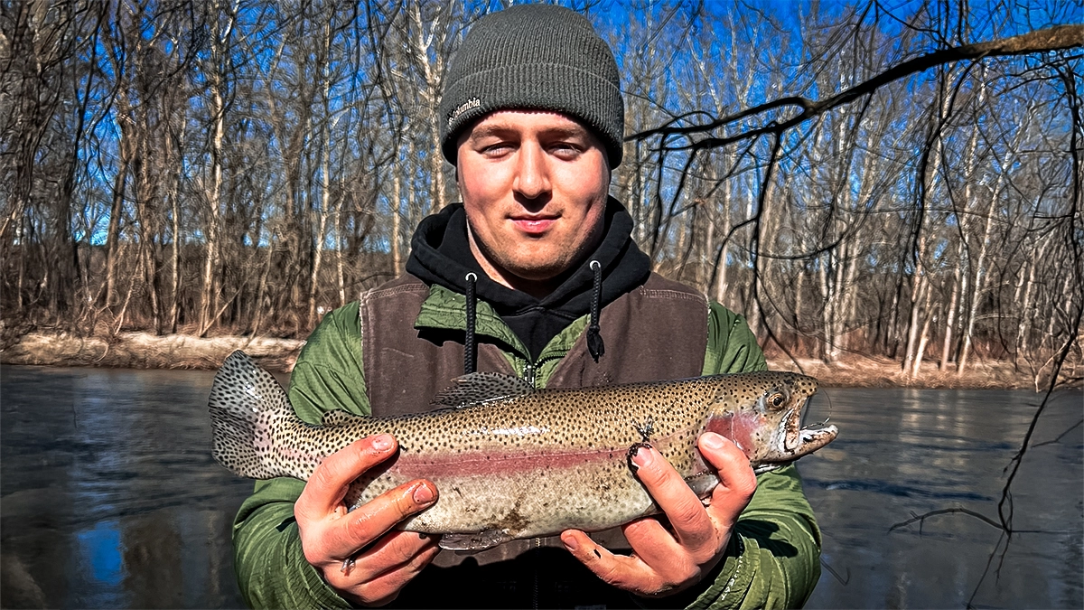 live bait trout