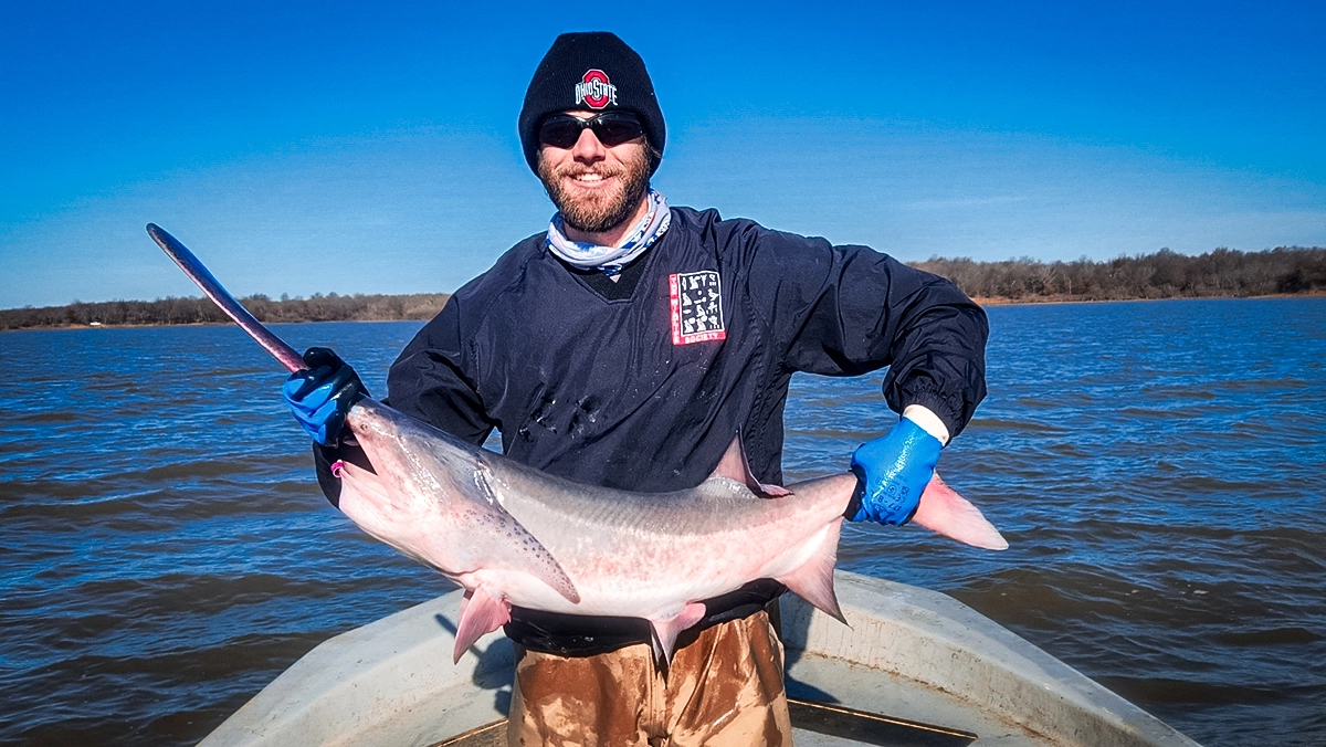 paddlefish