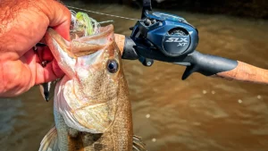 Tackle Review: Shimano SLX XT A Casting Reel